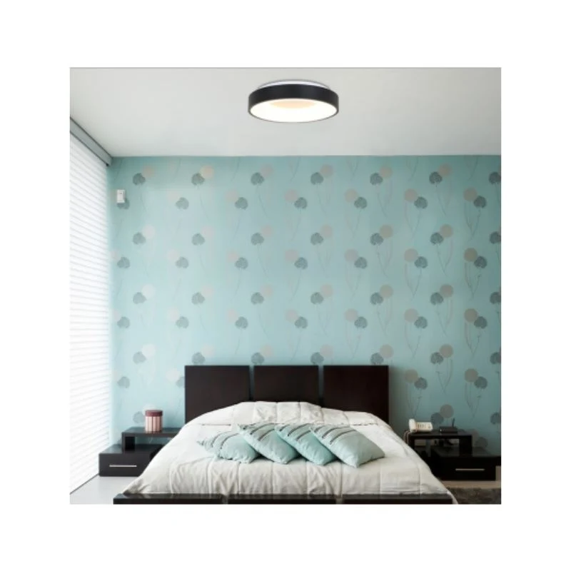 Steinhauer Ringlede PLafondlamp 38cm 2562ZW - Afbeelding 2